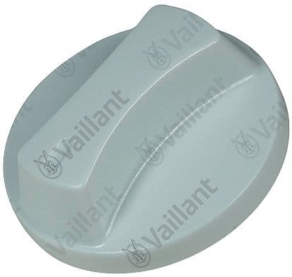 BOUTON VAILLANT