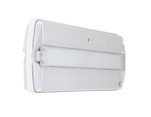 Step Led 20 Led 240lm 1h non permanent + bouton test