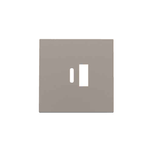 Set de finition pour double chargeur USB-A et USB-C intelligent, couleur bronze coated