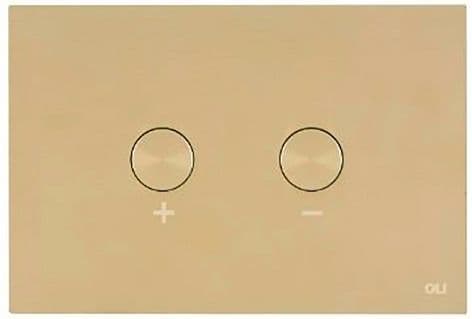 PLAQUE DE COMMANDE 2-TOUCHES BLINK PNEUMATIQUE WHITE GOLD + SET DE TRANSFORMATION