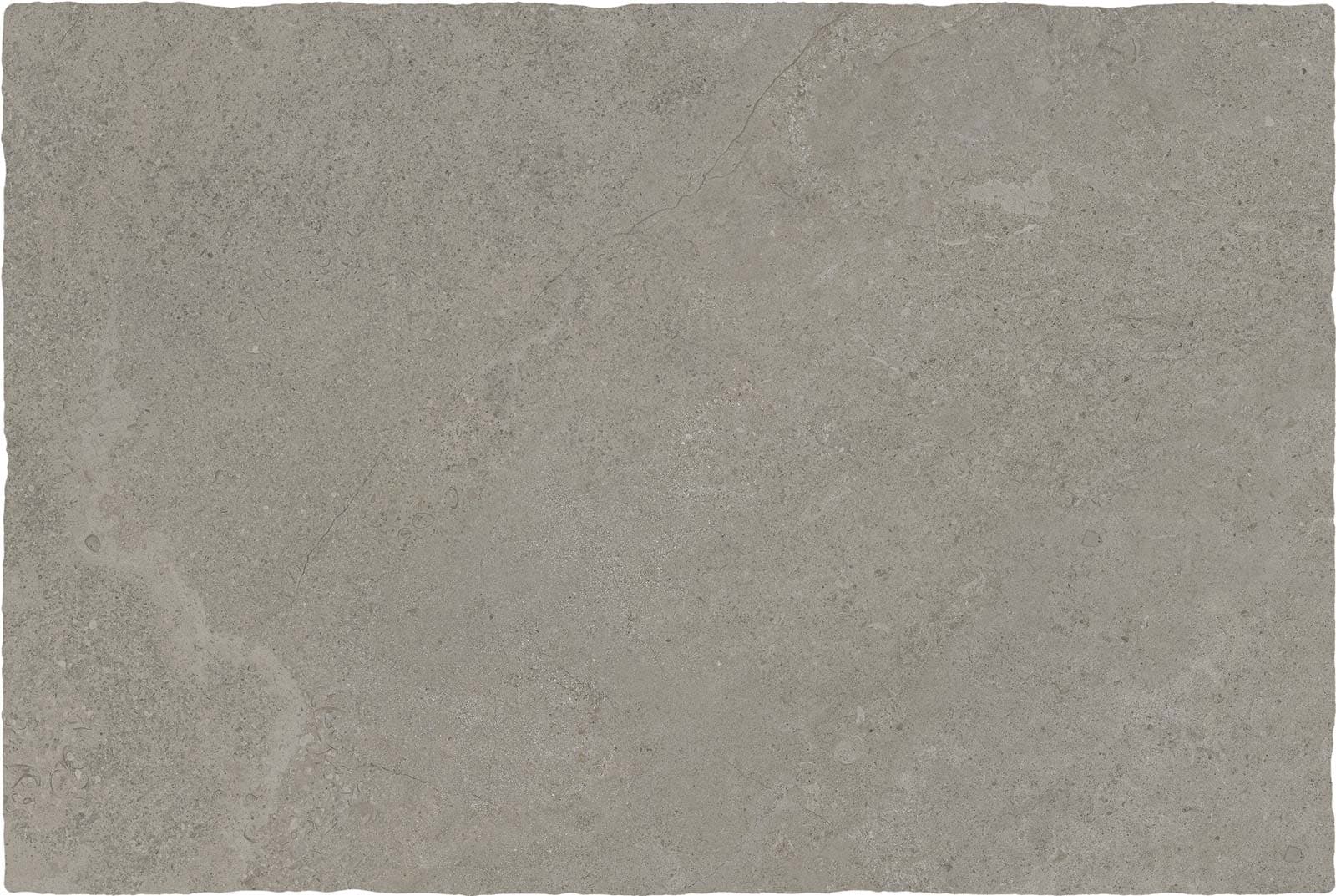 DORSET GREIGE 61X91(N)20MM
