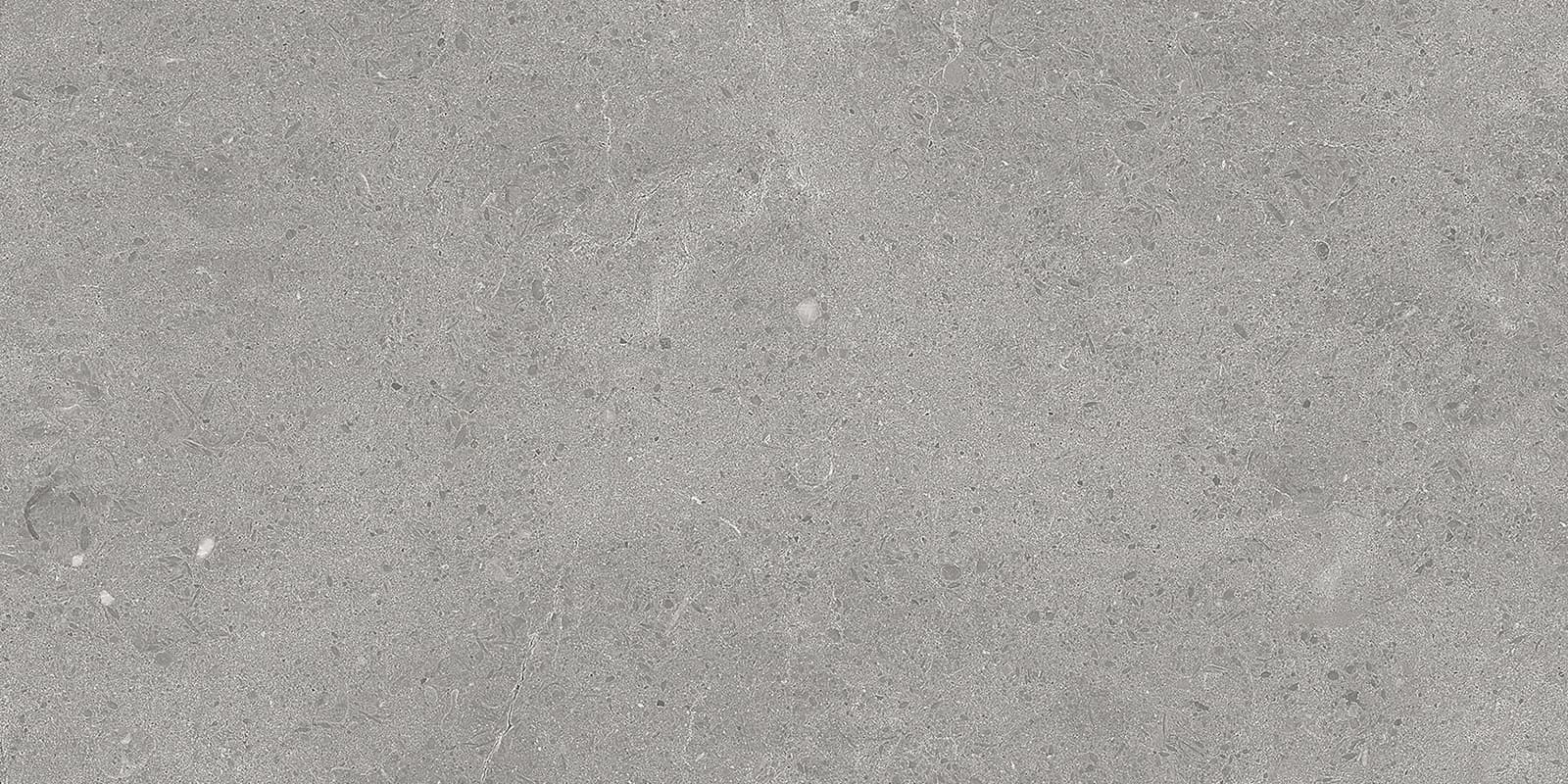 SERENASTONE SILVER 30x60n(C ) REC