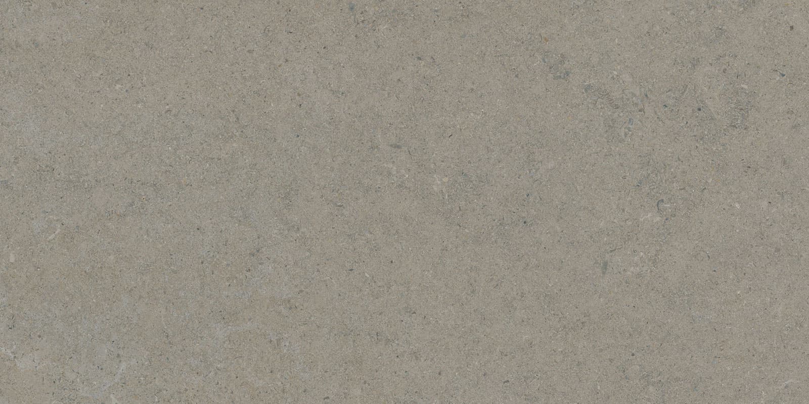 CALCARE GREIGE 60X120(T)C BRU