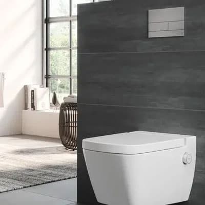 Tece toiletzitting met deksel