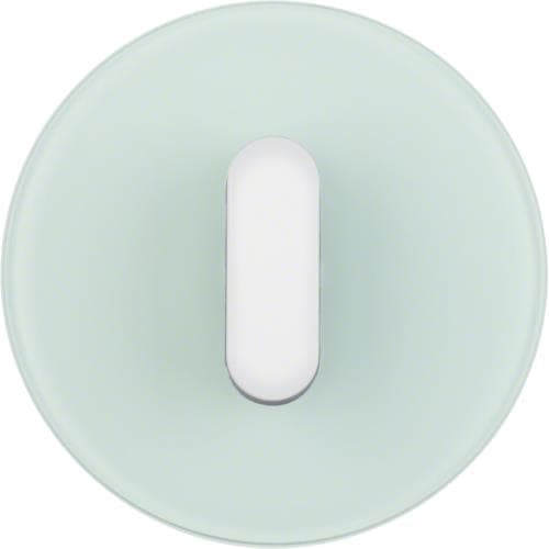 Plaque de recouvrement avec manette pour interrupteur rotatif / poussoir Serie R.classic Verre, Blan