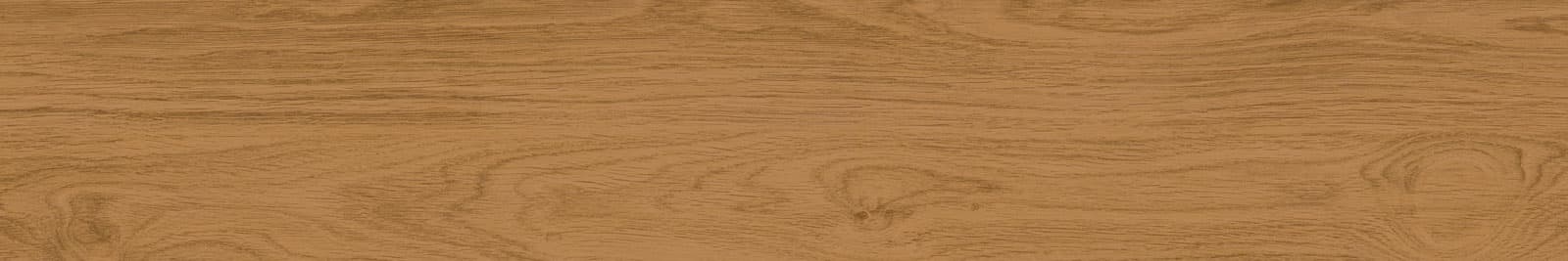 ALPINO HONEY 20×120(n) REC