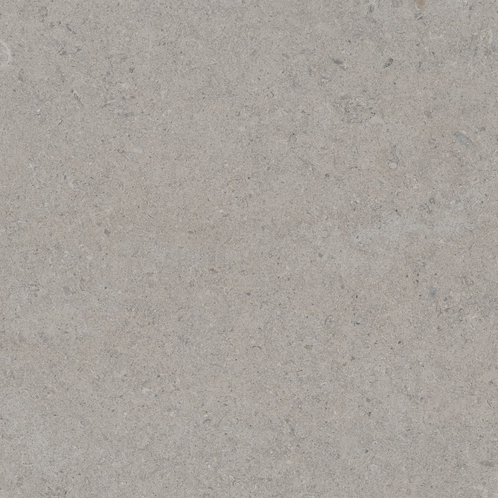 CALCARE SILVER 60X60(T)C ADZ