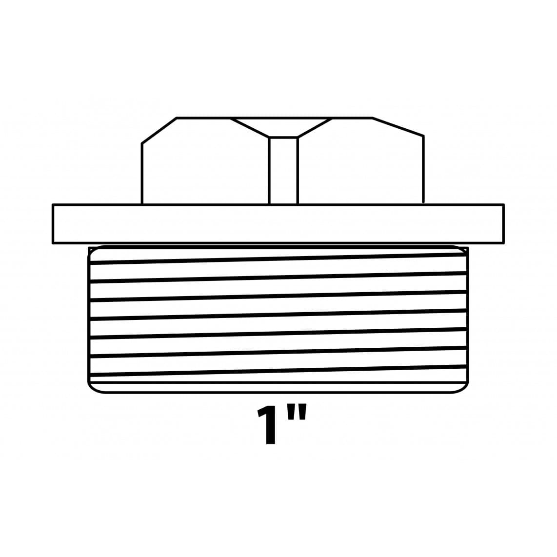 989424355 LT bouchon, vierge, 1" M