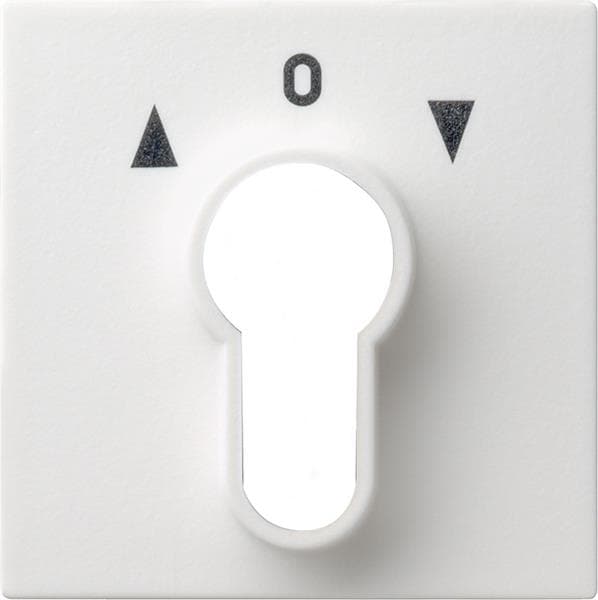 Cache pour interrupteur à clé et bouton-poussoir à clé Blanc satiné