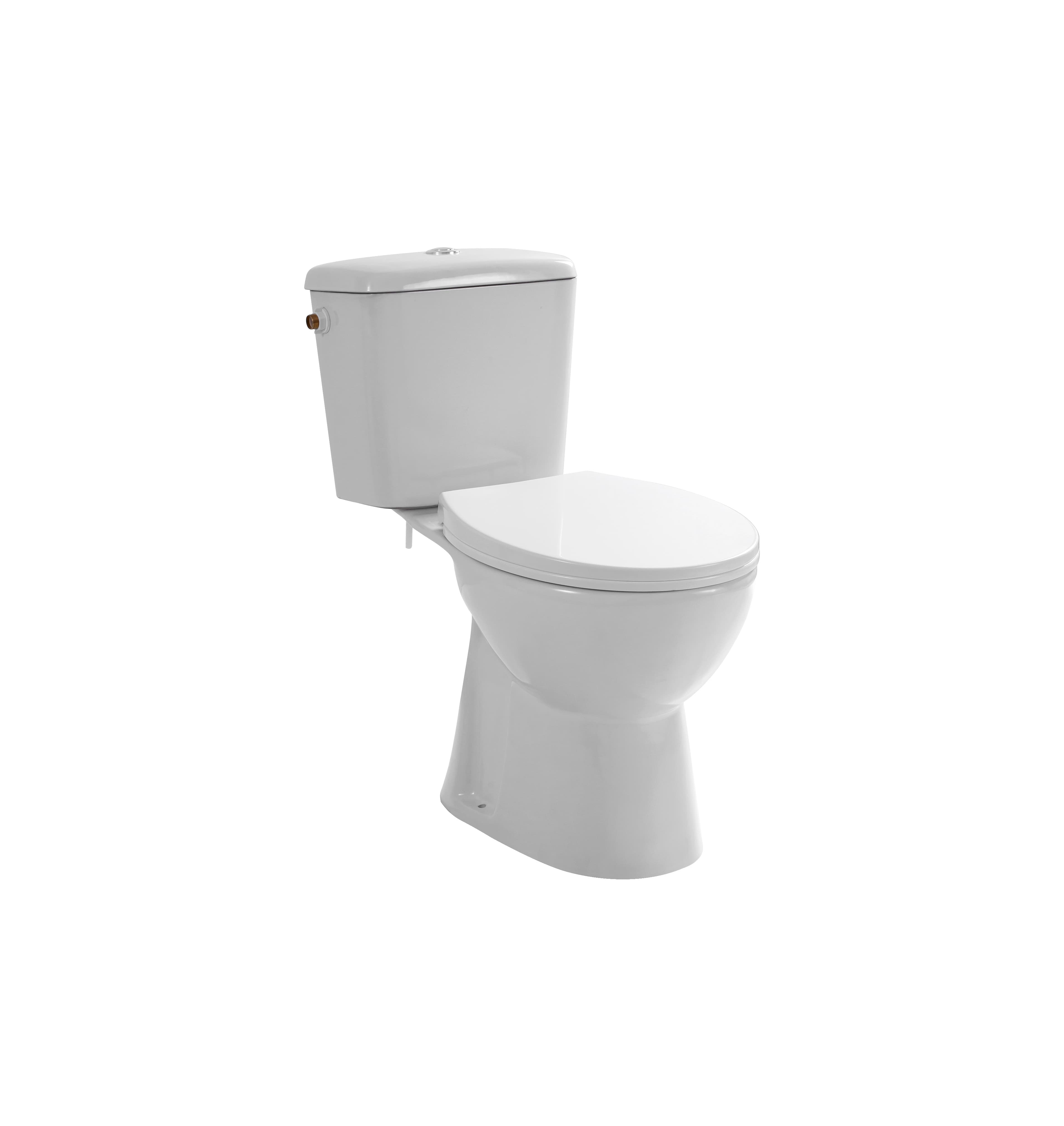ALONI PRO DUOBLOK - CUVETTE À POSER - SANS BRIDE - S-TRAP - SORTIE VERTICALE - AVEC RÉSERVOIR - AVEC MÉCANISME DE CHASSE 4/6L - DOUBLE CHASSE - AVEC ABATTANT - SOFTCLOSE - QUICK RELEASE - 39X73X67 CM - BLANC