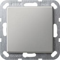 Cache borgne avec anneau de support Acier inoxydable uniquement pour fixation par vis.