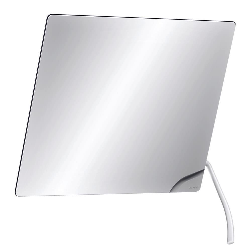 Delabie miroir inclinable avec long manche ergonomique 600x500mm épaisseur 6mm