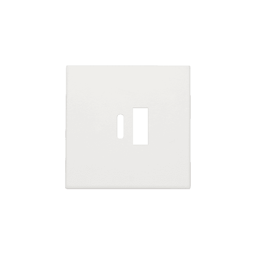Set de finition pour double chargeur USB-A et USB-C intelligent, couleur white