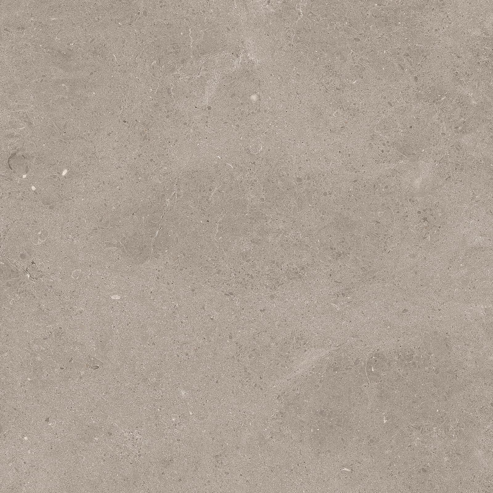 SERENASTONE SAND 60x60n(C) REC