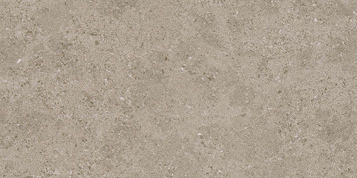 ROADSTONE TAN 30X60 REC
