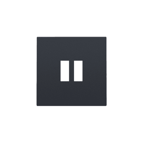 Set de finition pour chargeur double USB-A, couleur anthracite coated