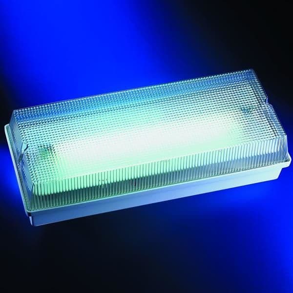 Noodverlichting Argos niet permanent auto - test 240lm 8W opbouw hermetisch 1u cabine vue 1