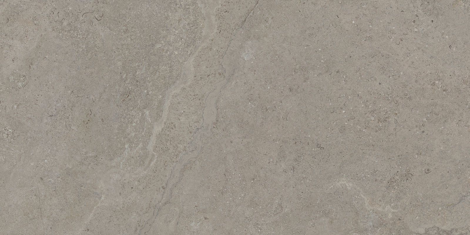 DORSET GREIGE 60×120(n) REC
