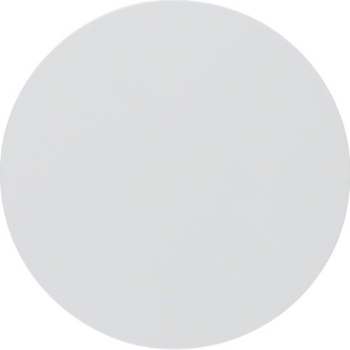 Touche Berker R.1 / R.3 Blanc polaire, brillant