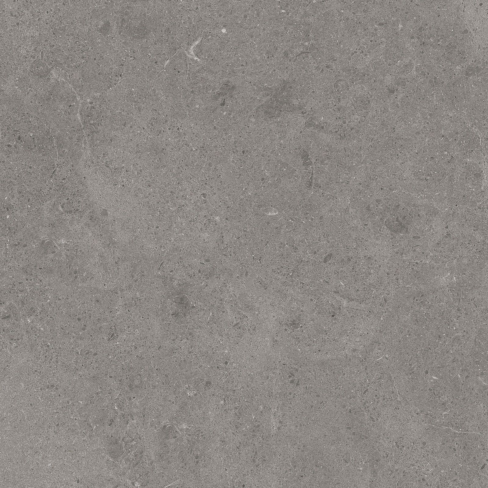SERENASTONE GRAY 60x60n(C) REC