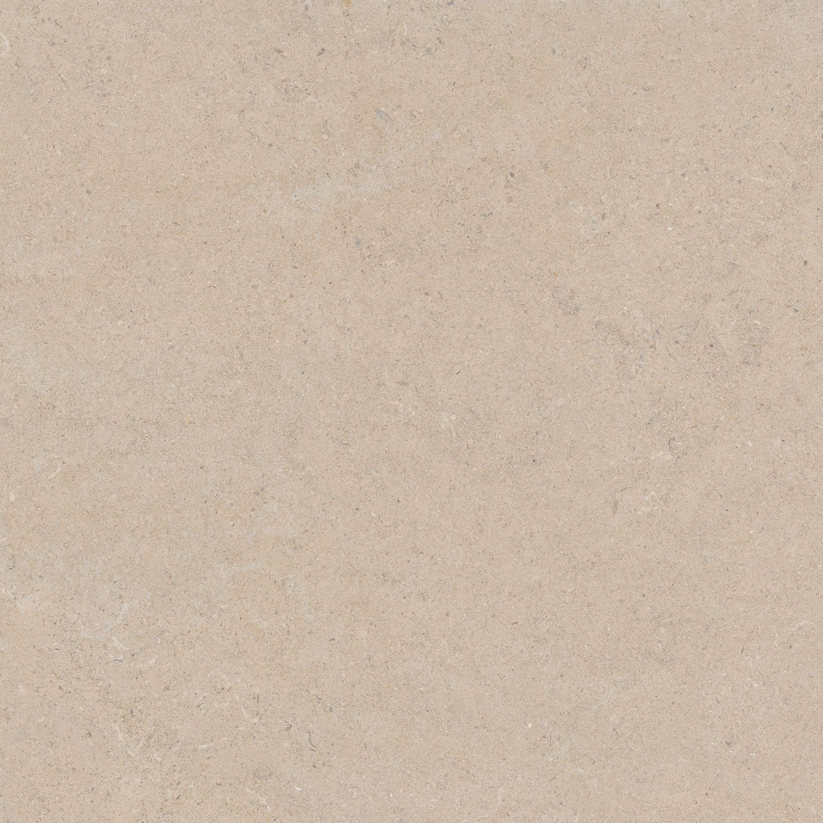 CALCARE SAND 120×120(T) BRU
