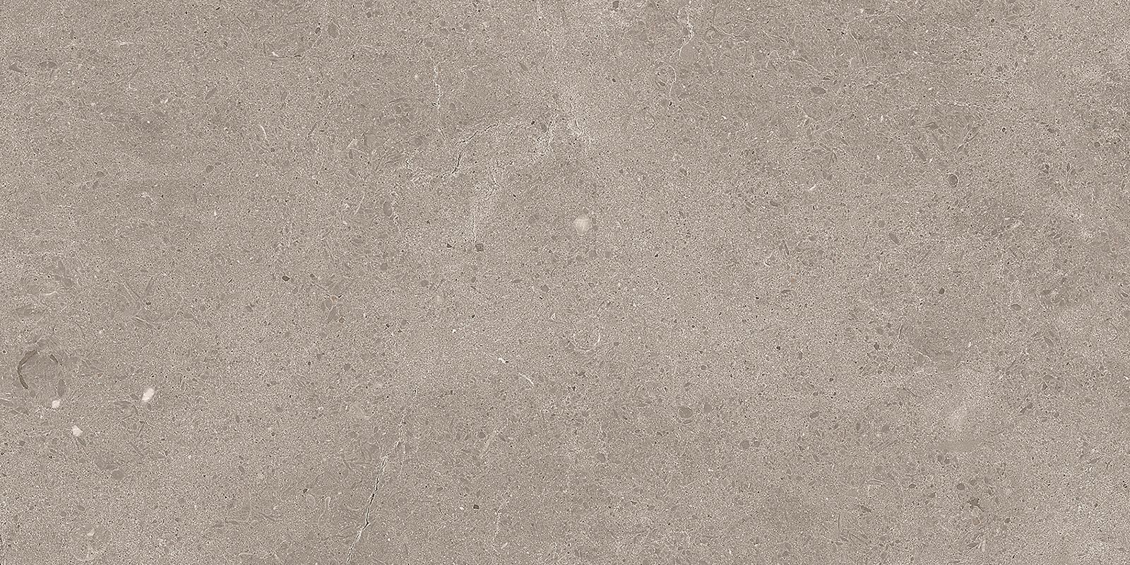 SERENASTONE SAND 30x60n(C ) REC