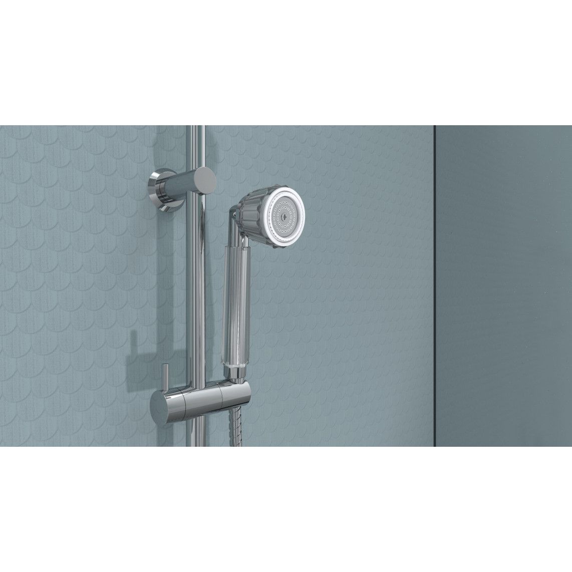 DX6021 BOTI Hand shower, chrome vue 2