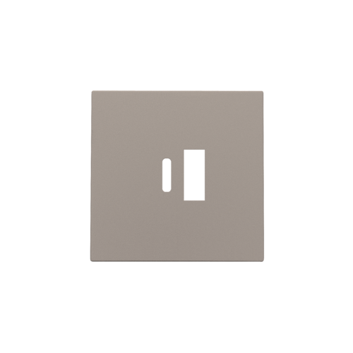Set de finition pour double chargeur USB-A et USB-C intelligent, couleur bronze coated