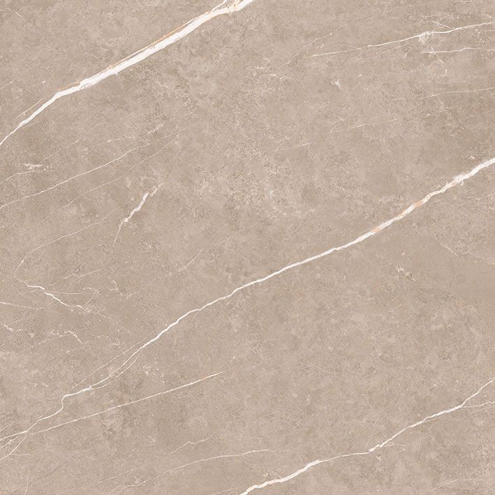 ELITE GREIGE 60X60 PUL