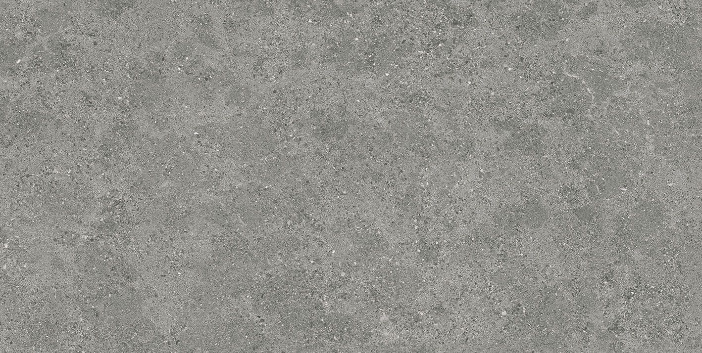ROADSTONE GRAY 60X120 REC
