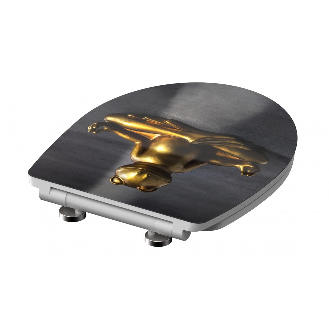 82581 Duroplast HG WC-zitting RELAXING FROG, met valrem en afneembaar vue 4