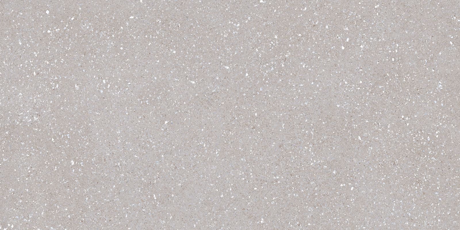 SASSY SILVER 60X120 REC