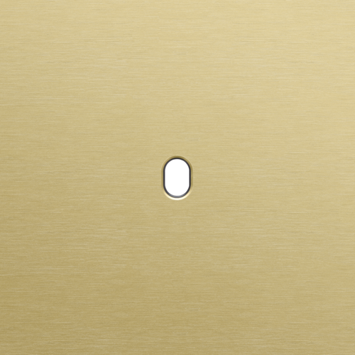 Plaque de recouvrement simple, pour des fonctions de commutation simple, couleur Niko Toggle alu gold brushed