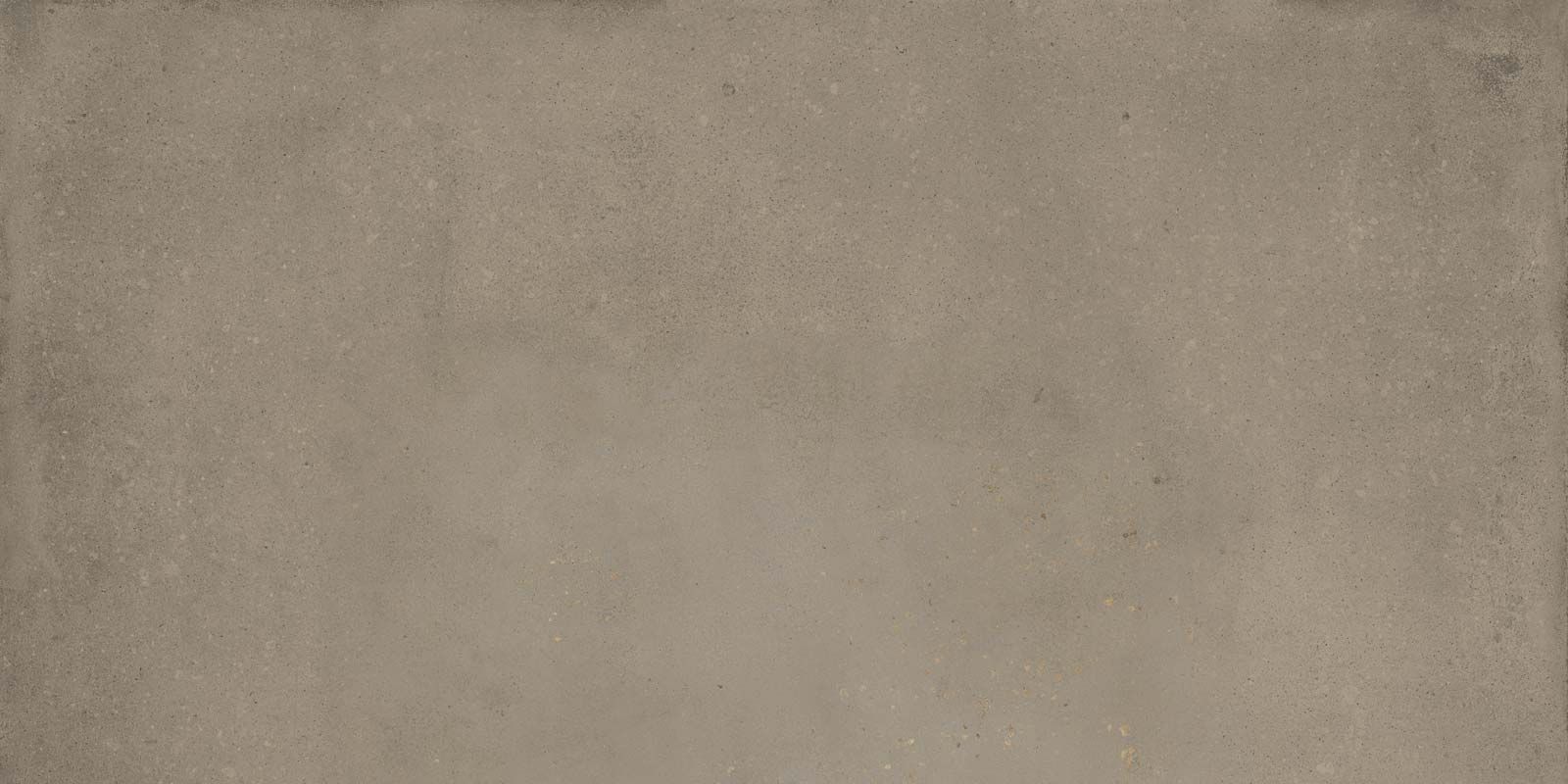 DETROIT GREIGE 60X120(T)C BRU