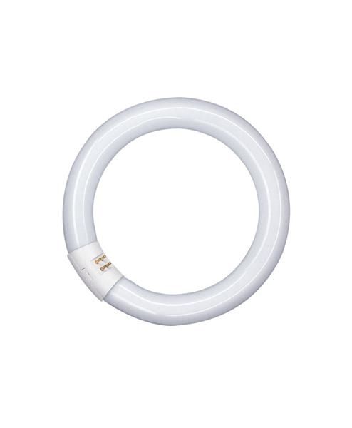 Osram lampe TL L 32W / 840 C ronde lumilux Cool White G10q