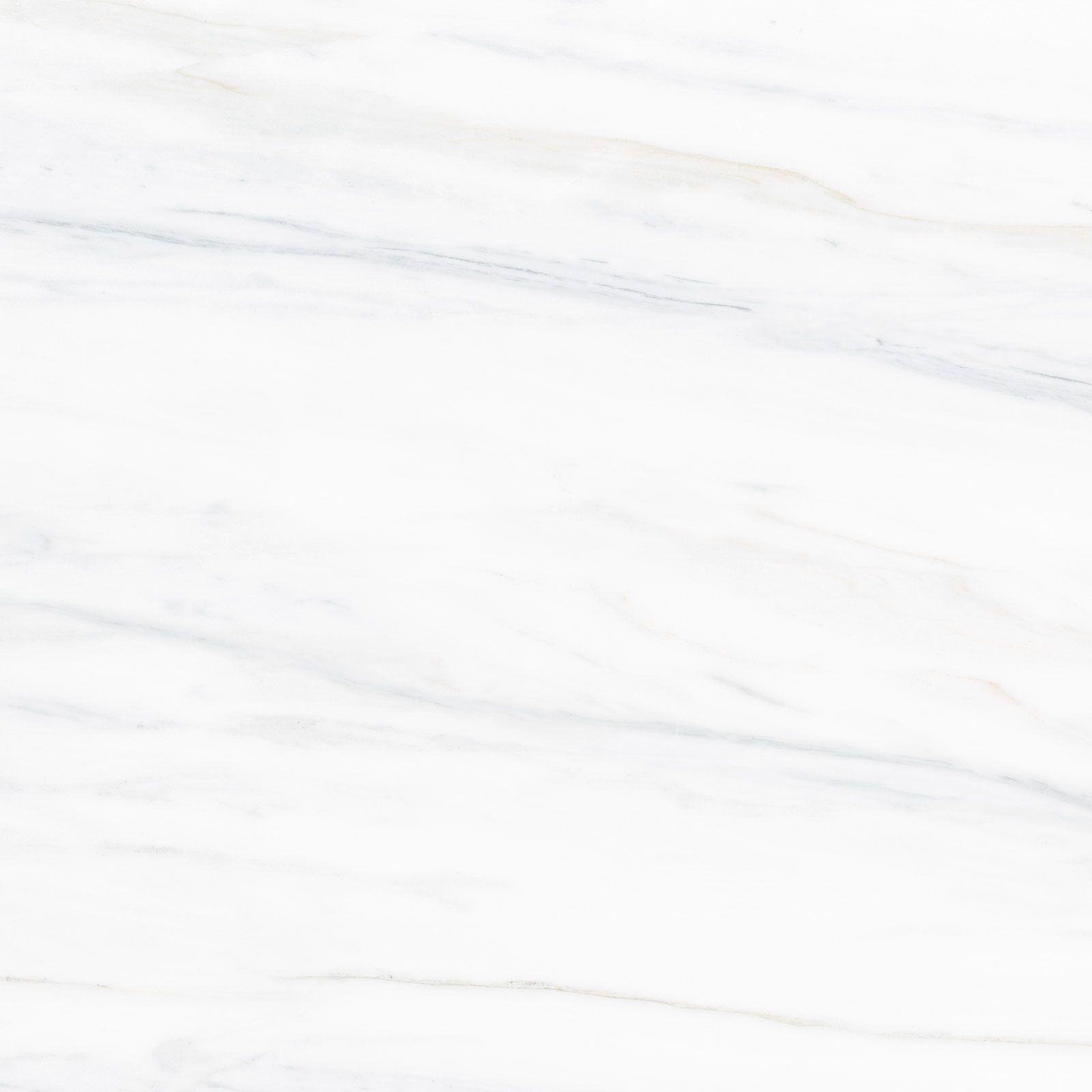 MACAEL WHITE 120X120 REC