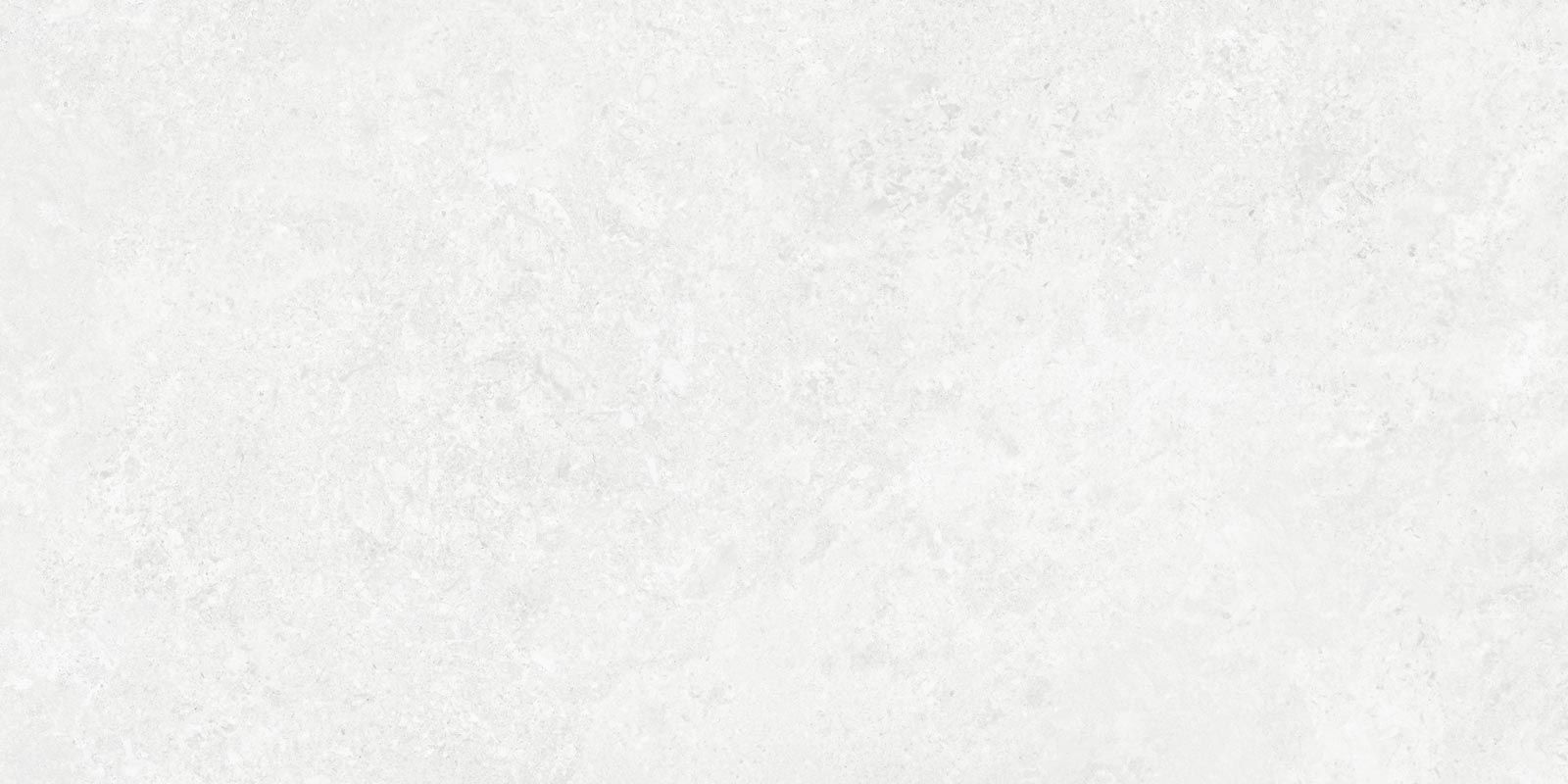BORGA WHITE 60X120(N)20MM REC