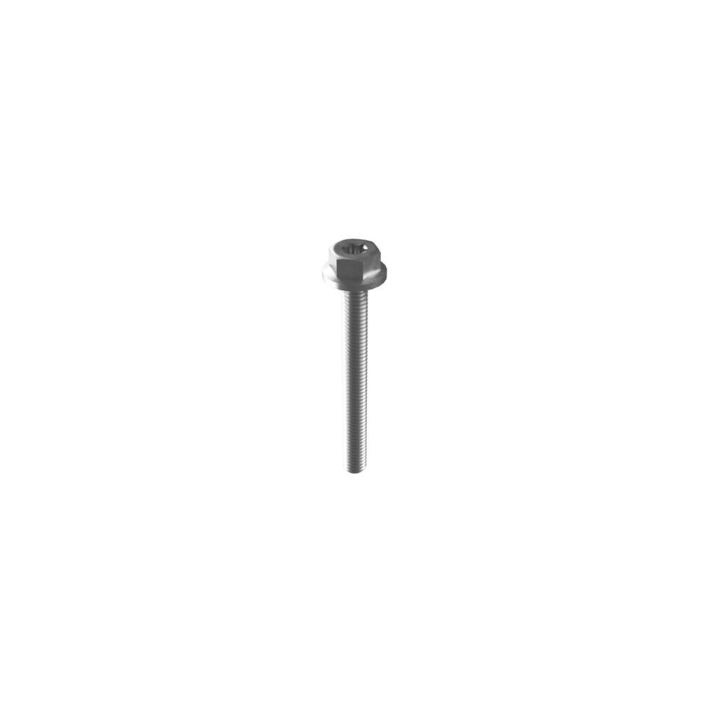 PV Vis DE Fixation M6×55 MM