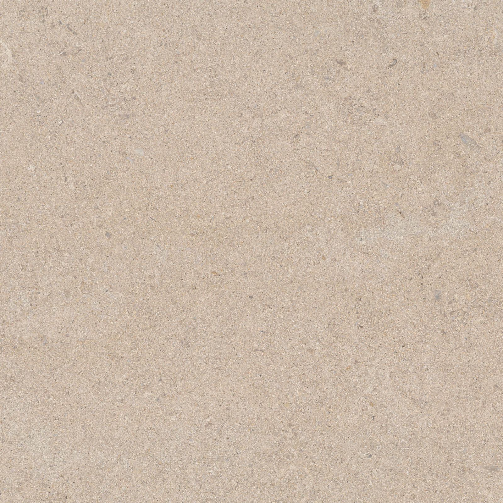 CALCARE SAND 60X60(T)C BRU