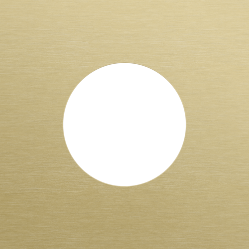 Plaque de recouvrement simple, pour 1 prise de courant, Niko Rocker et Niko Toggle, alu gold brushed