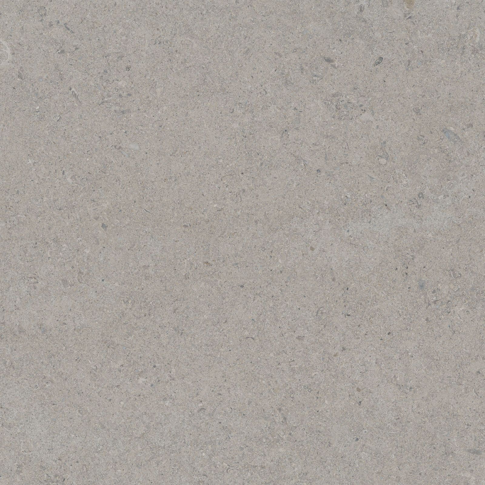 CALCARE SILVER 60X60(T)C SP
