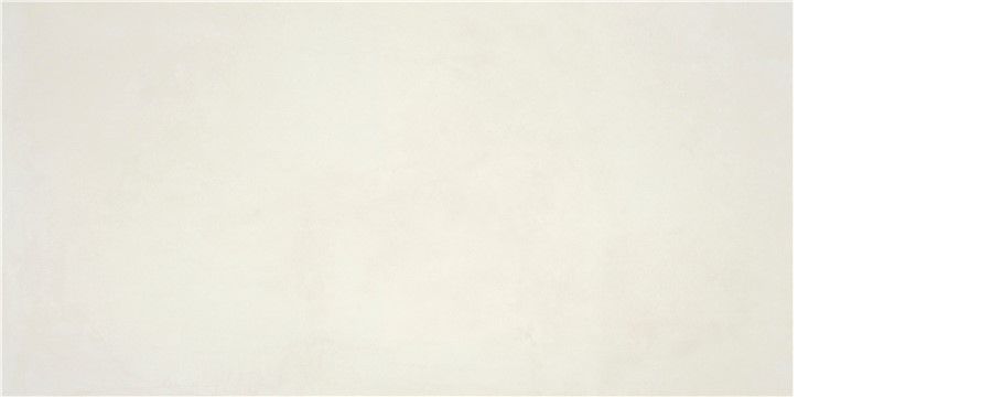 P.E. ALWAYS WHITE MT 60X120 RECT. SB vue 3