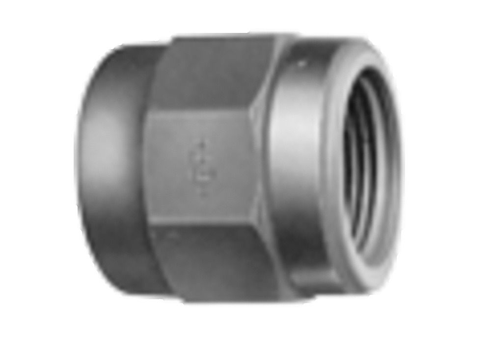Georg Fischer manchon intermédiaire avec filetage femelle cylindrique D20 x 1/2 F