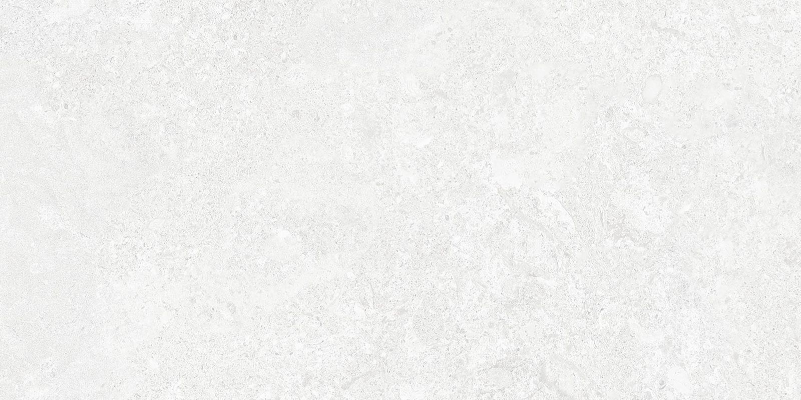 BORGA WHITE 30×60 (C ) REC
