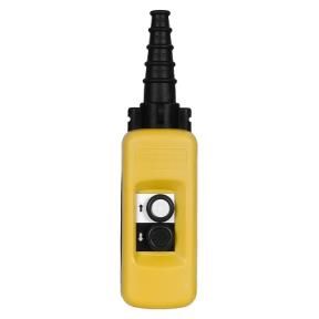 Boîte pendante XAC-A - 2 poussoirs