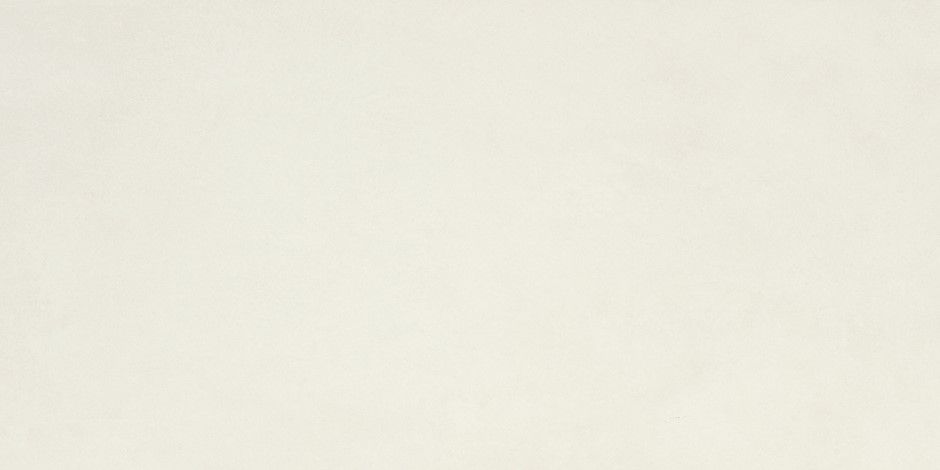 P.E. ALWAYS WHITE MT 30X60 RECT. SB vue 2