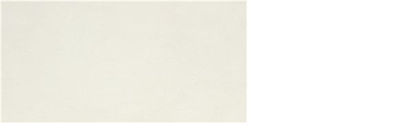 P.E. ALWAYS WHITE MT 30X60 RECT. SB vue 3