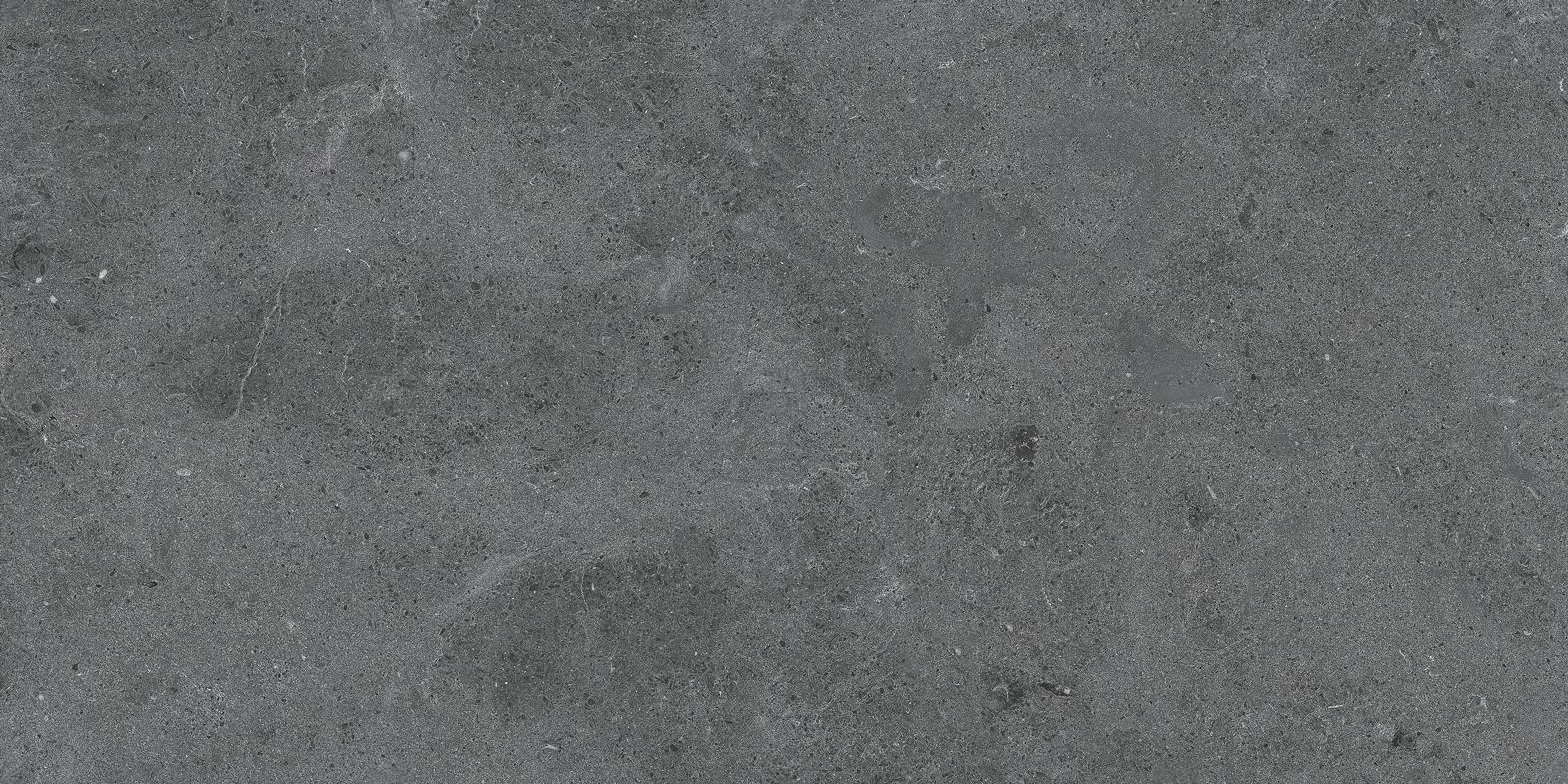 SERENASTONE GRAPHITE 60×120(n) REC