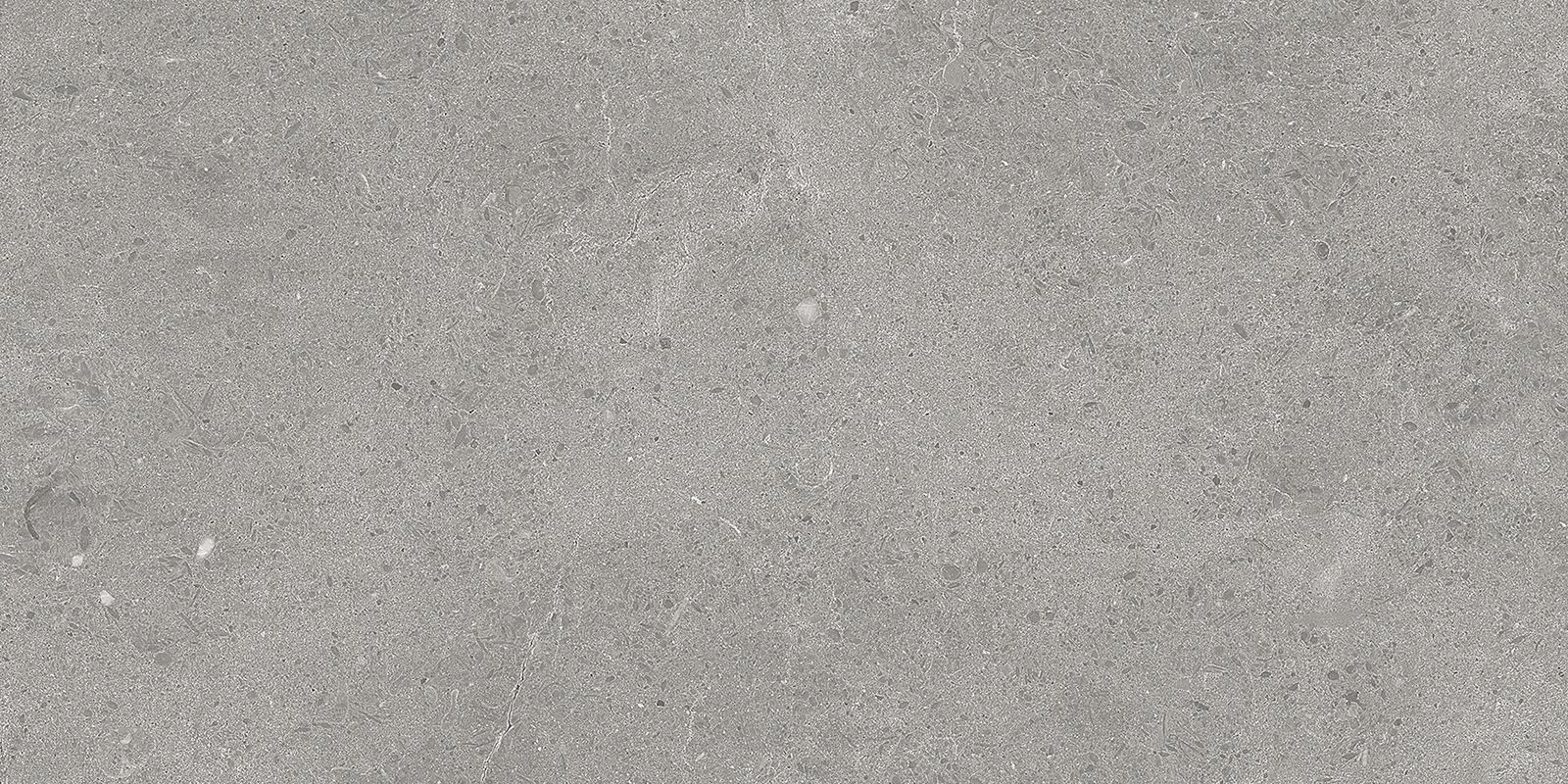 SERENASTONE SILVER 30x60n(C ) REC