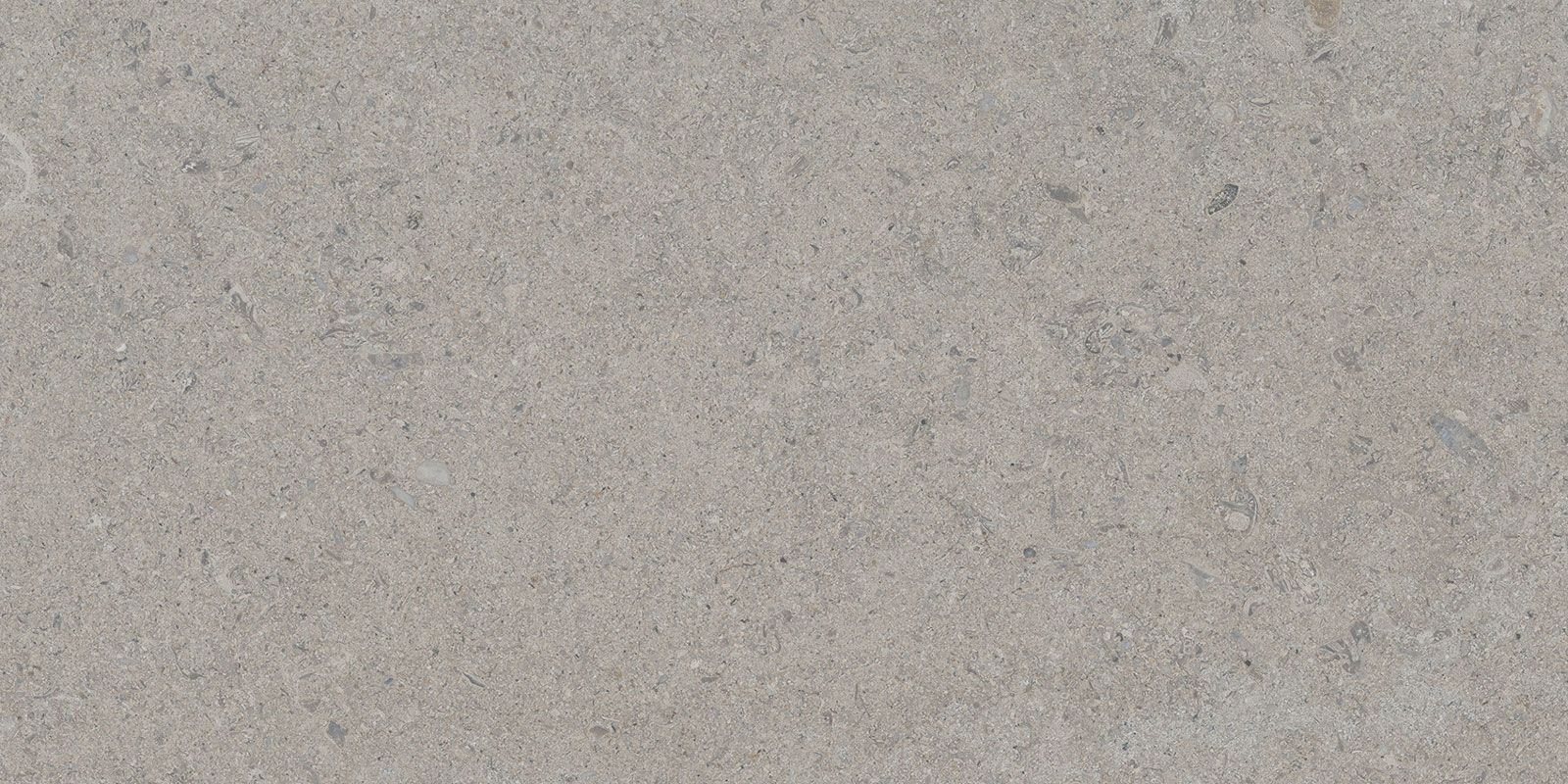 CALCARE SILVER 30X60(T)C BRU